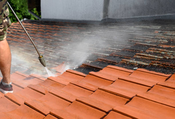 Best Affordable Pressure Washing  in Lynnville, IN